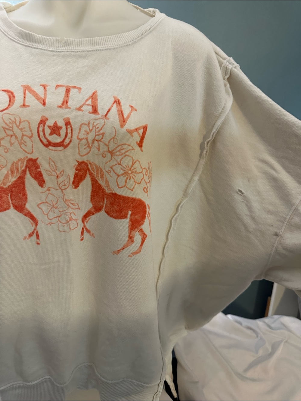 Free People Montana Graphic Sweatshirt Small *Note - Picture 2 of 8